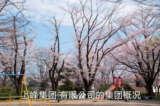  上峰集團 有限公司的集團概況