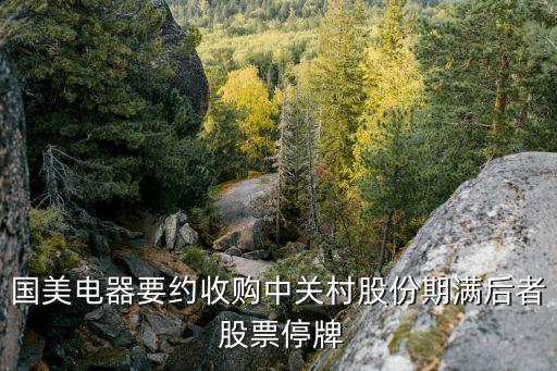 國(guó)美電器要約收購(gòu)中關(guān)村股份期滿后者 股票停牌