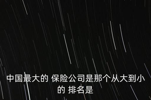中國最大的 保險(xiǎn)公司是那個(gè)從大到小的 排名是