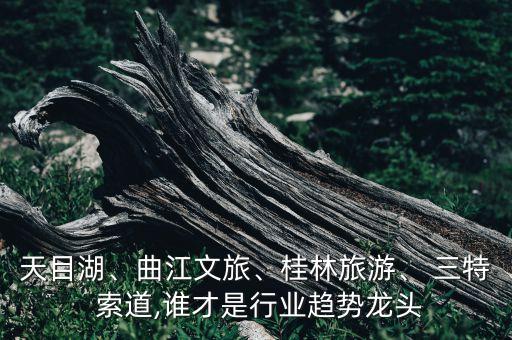天目湖、曲江文旅、桂林旅游、 三特 索道,誰才是行業(yè)趨勢龍頭