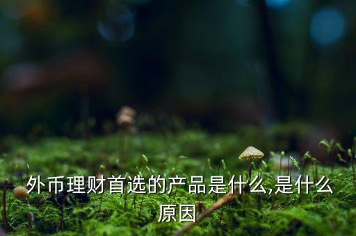  外幣理財首選的產(chǎn)品是什么,是什么原因