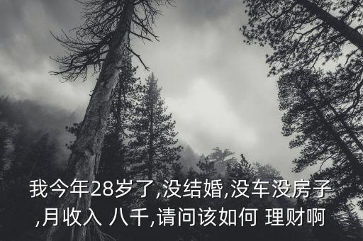 我今年28歲了,沒(méi)結(jié)婚,沒(méi)車(chē)沒(méi)房子,月收入 八千,請(qǐng)問(wèn)該如何 理財(cái)啊