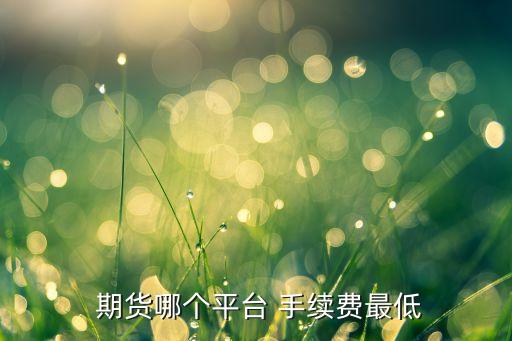  期貨哪個(gè)平臺 手續(xù)費(fèi)最低