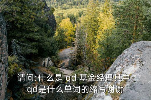 請(qǐng)問:什么是 qd 基金經(jīng)理其中 qd是什么單詞的縮寫謝謝