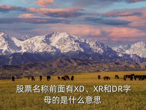  股票名稱前面有XD、XR和DR字母的是什么意思