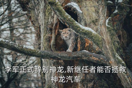 東風(fēng)汽車(chē)公司青苗人才庫(kù)