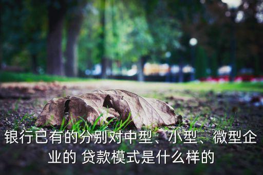 銀行已有的分別對中型、小型、微型企業(yè)的 貸款模式是什么樣的