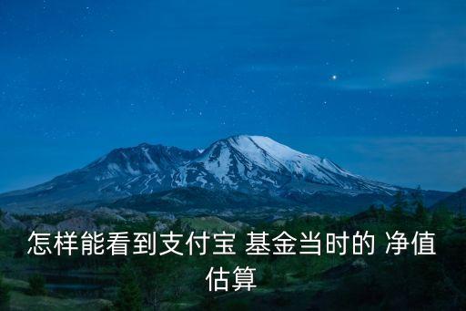 怎樣能看到支付寶 基金當(dāng)時的 凈值估算