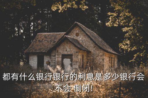 都有什么銀行銀行的利息是多少銀行會(huì)不會(huì) 倒閉!