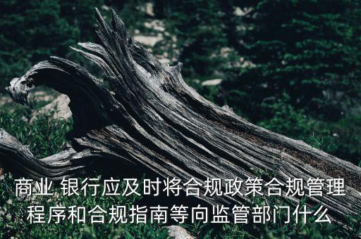 銀行監(jiān)事會應監(jiān)督