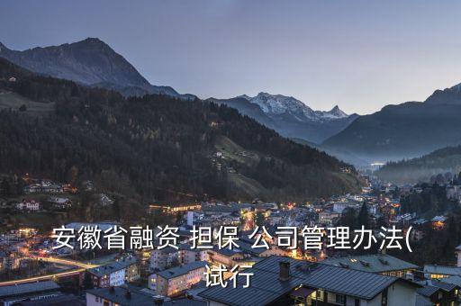  安徽省融資 擔保 公司管理辦法(試行