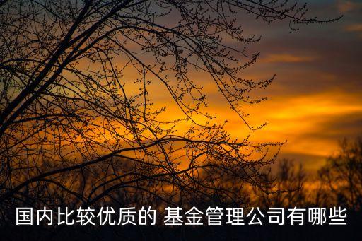 國(guó)內(nèi)比較優(yōu)質(zhì)的 基金管理公司有哪些