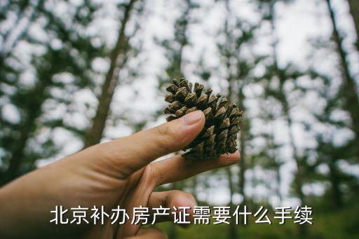  北京補辦房產證需要什么手續(xù)