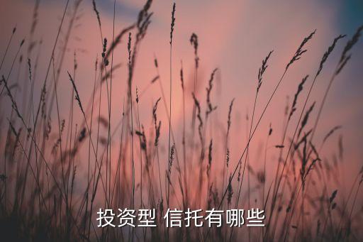 投資型 信托有哪些