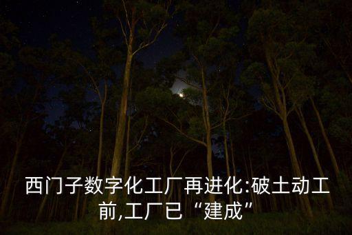 諾基亞西門子中國(guó)公司副總裁