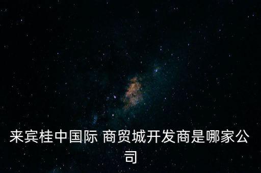 來賓桂中國(guó)際 商貿(mào)城開發(fā)商是哪家公司