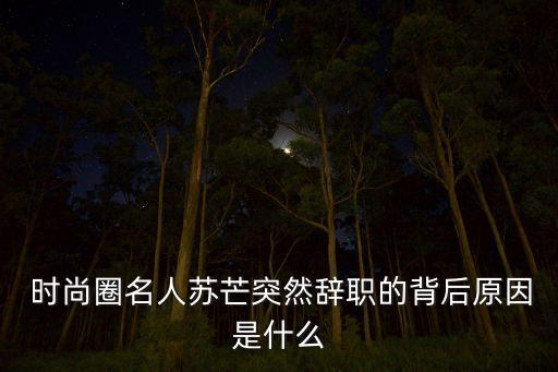 劉江時尚集團(tuán)