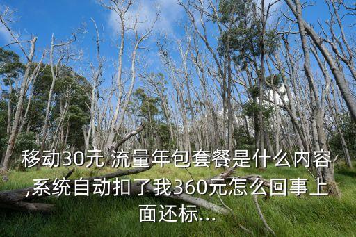 移動(dòng)30元 流量年包套餐是什么內(nèi)容,系統(tǒng)自動(dòng)扣了我360元怎么回事上面還標(biāo)...