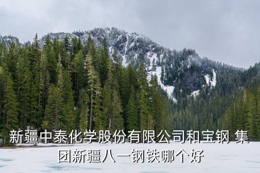 新疆中泰化學股份有限公司和寶鋼 集團新疆八一鋼鐵哪個好
