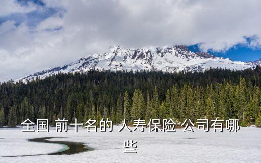 全國 前十名的 人壽保險(xiǎn) 公司有哪些