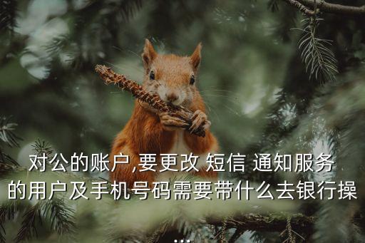 對(duì)公的賬戶,要更改 短信 通知服務(wù)的用戶及手機(jī)號(hào)碼需要帶什么去銀行操...