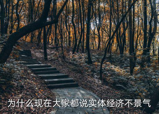 為什么現(xiàn)在大家都說實體經(jīng)濟(jì)不景氣