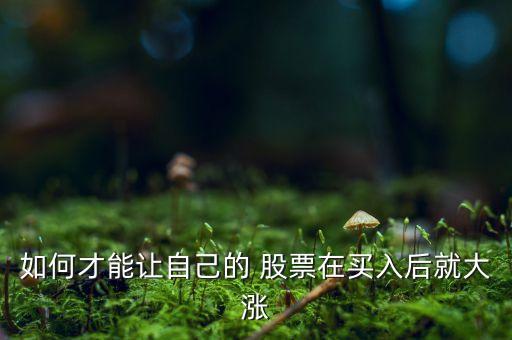 如何才能讓自己的 股票在買(mǎi)入后就大漲