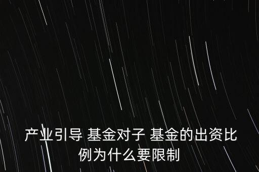 產(chǎn)業(yè)投資基金風險控制