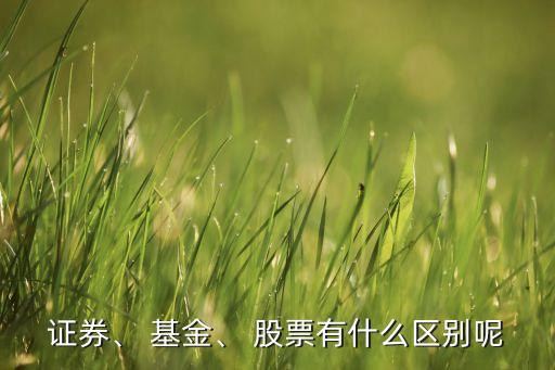 證券、 基金、 股票有什么區(qū)別呢