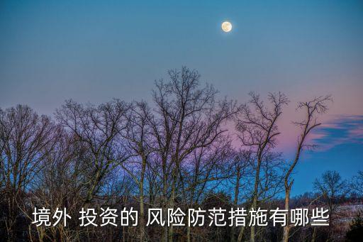 境外 投資的 風險防范措施有哪些