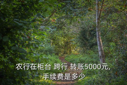 農(nóng)業(yè)銀行跨行轉(zhuǎn)賬手續(xù)費多少,手機農(nóng)業(yè)銀行跨行轉(zhuǎn)賬要手續(xù)費嗎