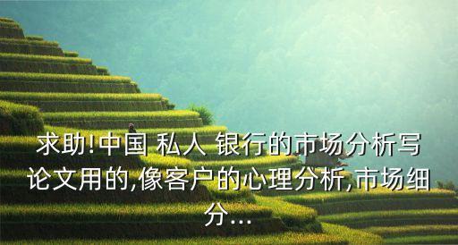 我國(guó)私人銀行發(fā)展面臨的問題包括