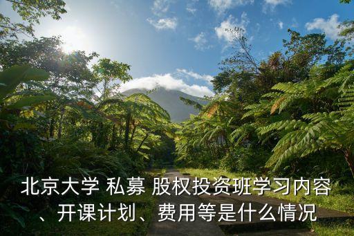 私募股權(quán)基金主理銀行業(yè)務(wù)案例分析