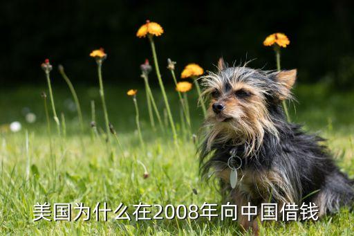 美國(guó)現(xiàn)在欠中國(guó)多少錢,如果美國(guó)欠錢不還中國(guó)怎么辦