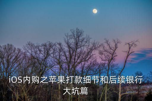 iOS內(nèi)購(gòu)之蘋果打款細(xì)節(jié)和后續(xù)銀行大坑篇