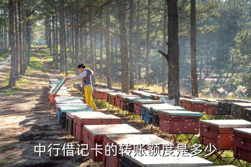 中國銀聯線下交易額