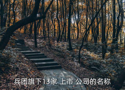 新疆準(zhǔn)備上市公司,新疆上市公司全部名單