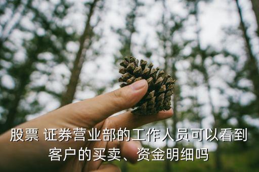 股票 證券營業(yè)部的工作人員可以看到客戶的買賣、資金明細嗎