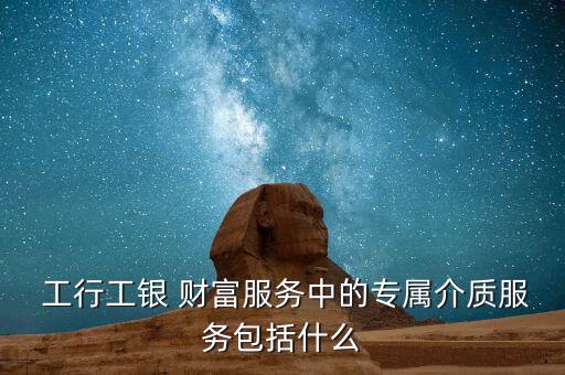  工行工銀 財富服務中的專屬介質服務包括什么