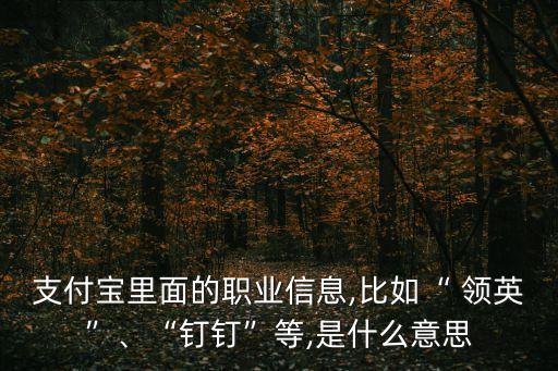美國領英公司股票,美國超導公司股票價格