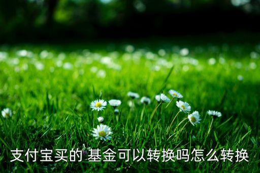 支付寶買(mǎi)的 基金可以轉(zhuǎn)換嗎怎么轉(zhuǎn)換