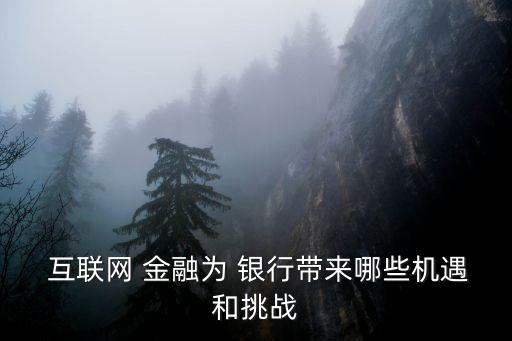  互聯(lián)網(wǎng) 金融為 銀行帶來(lái)哪些機(jī)遇和挑戰(zhàn)