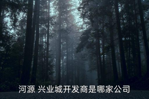 寧波通和興業(yè)進(jìn)出口有限公司,寧波興業(yè)盛泰集團(tuán)有限公司是國企嗎
