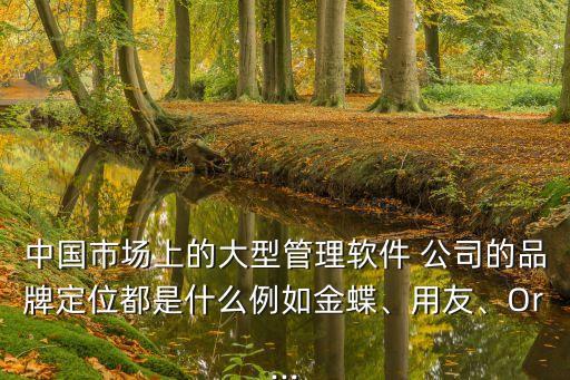 中國市場上的大型管理軟件 公司的品牌定位都是什么例如金蝶、用友、Or...