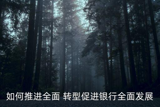 如何推進(jìn)全面 轉(zhuǎn)型促進(jìn)銀行全面發(fā)展