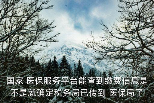 國家 醫(yī)保服務(wù)平臺能查到繳費信息是不是就確定稅務(wù)局已傳到 醫(yī)保局了