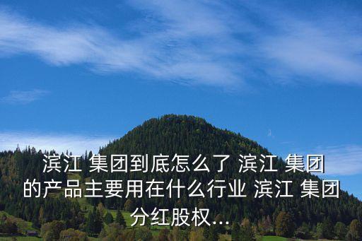 濱江集團股票最新消息,濱江房產集團股票