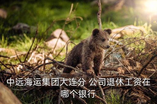 中遠(yuǎn)海運(yùn)集團(tuán)大連分 公司退休工資在哪個(gè)銀行