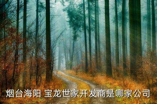 煙臺海陽 寶龍世家開發(fā)商是哪家公司