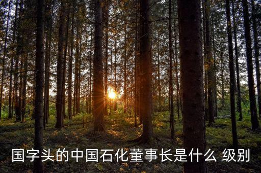 國字頭的中國石化董事長是什么 級(jí)別